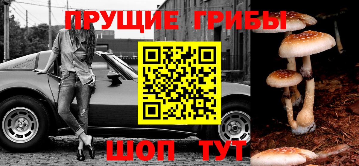 Псилоцибиновые грибы ЛСД  Вход с VPN  Елец 