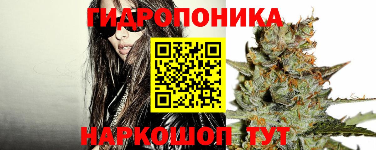Конопля сатива Елец
